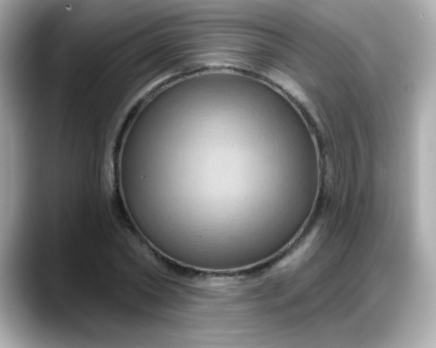 X0000088380782200706051059