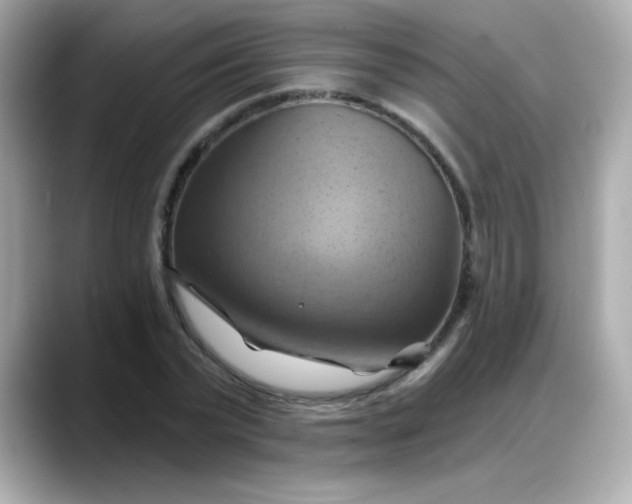 X0000088380783200706051059