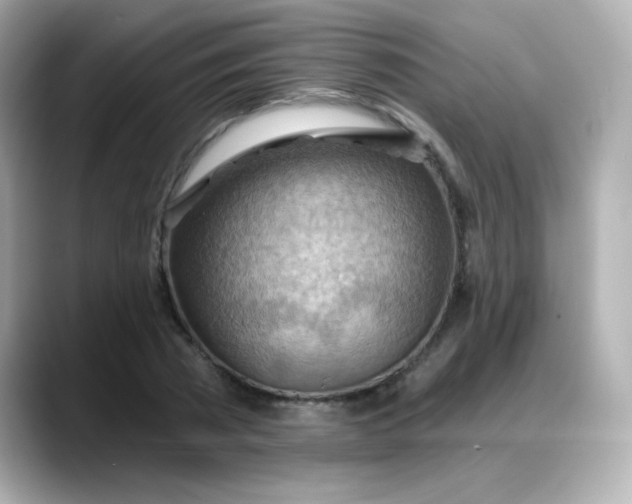 X0000088380785200706051059