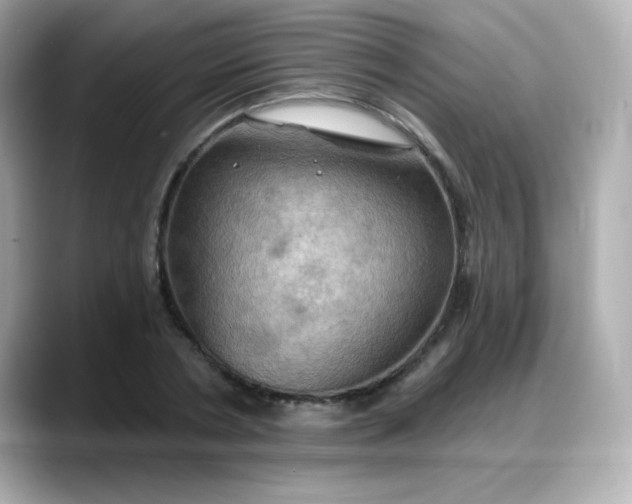 X0000088380786200706051059