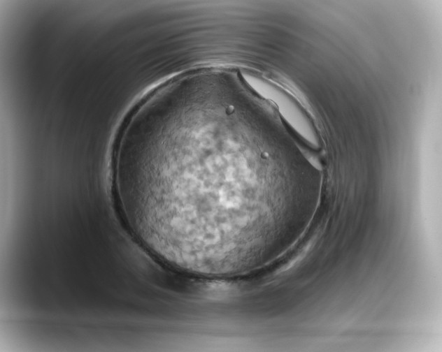 X0000088380787200706051059