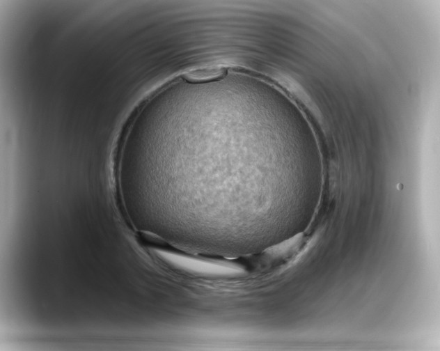 X0000088380789200706051058