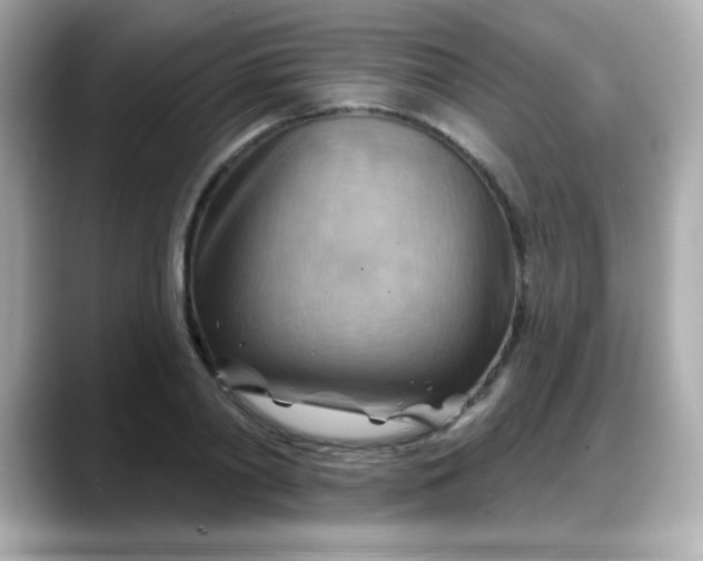 X0000088380790200706051058