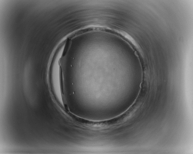 X0000088380791200706051058