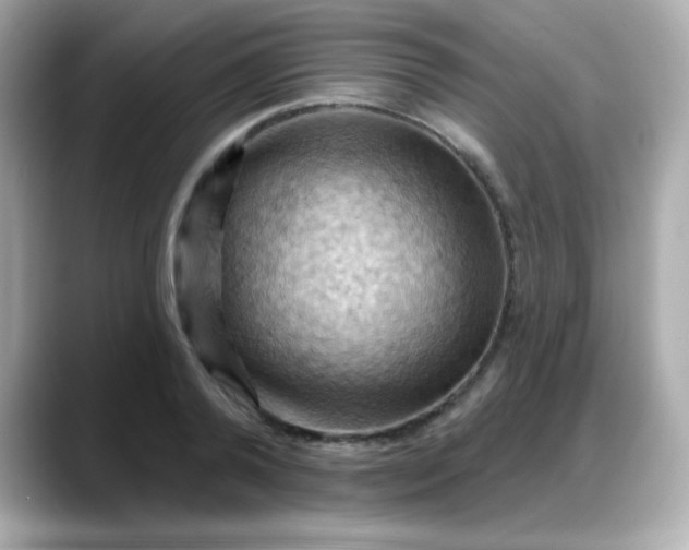 X0000088380792200706051058