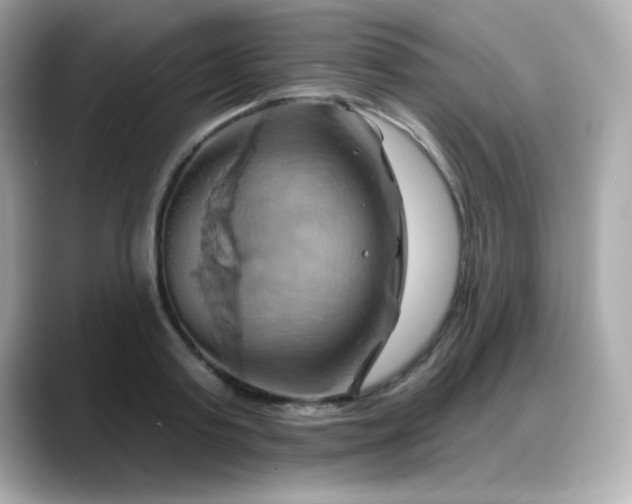 X0000088380795200706051058