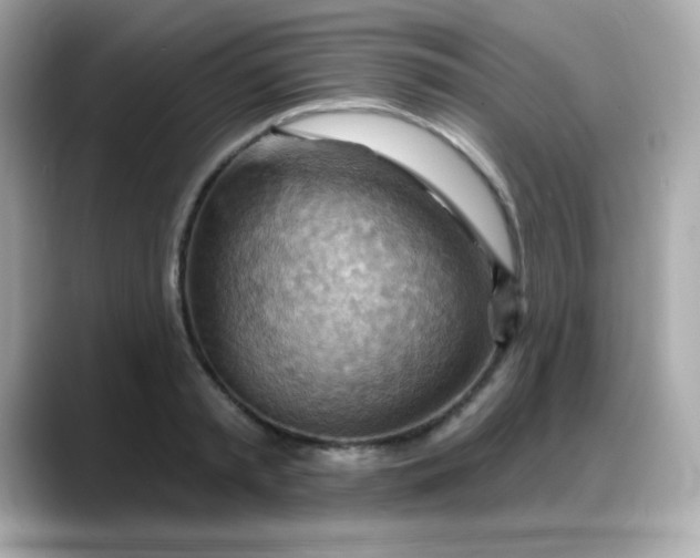 X0000088380797200706051058