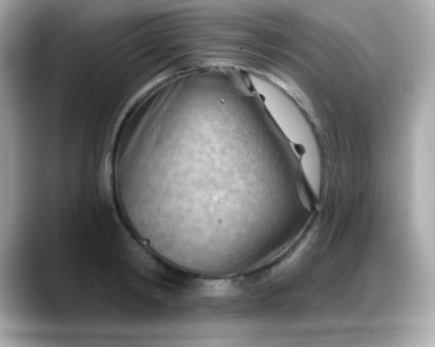 X0000088380798200706051058