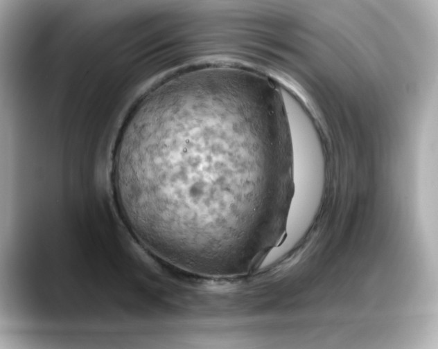 X0000088380799200706051058