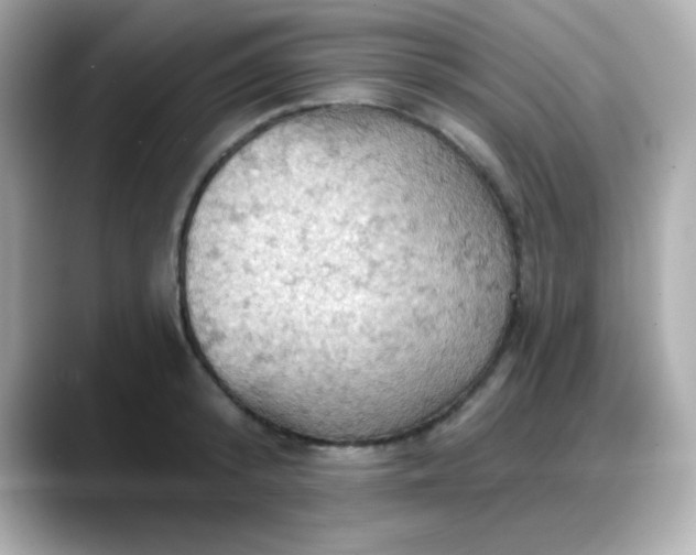X0000088380800200706051058