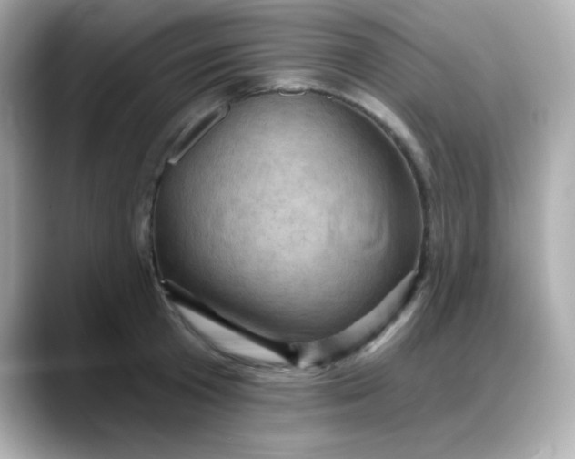 X0000088380801200706051058