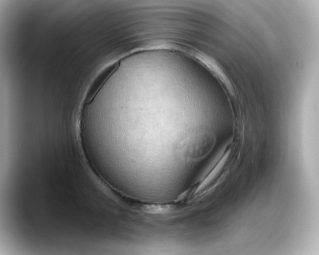 X0000088380805200706051058