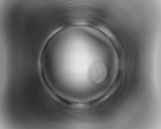 X0000088380806200706051058