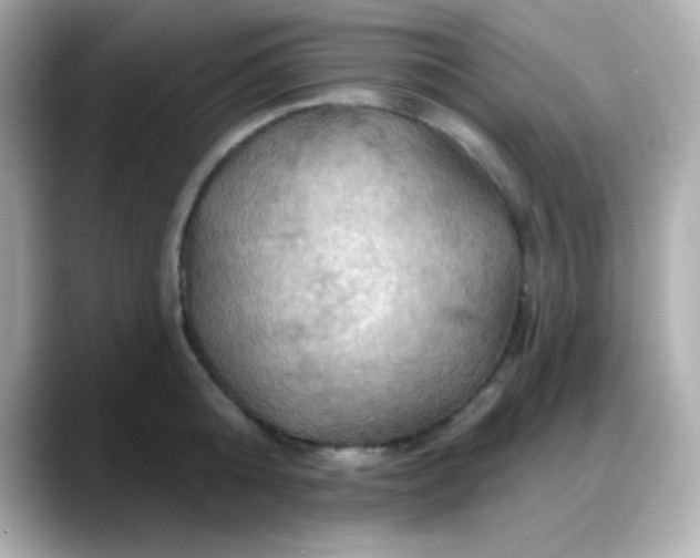 X0000088380808200706051058