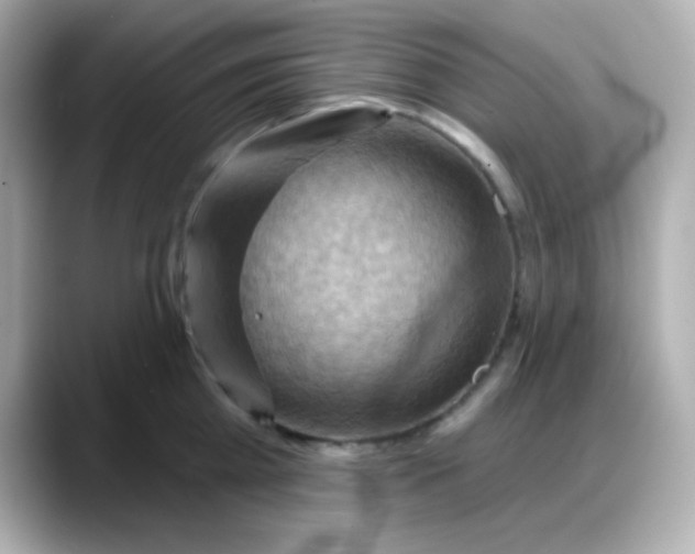 X0000088380809200706051058