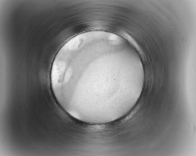 X0000088380810200706051058