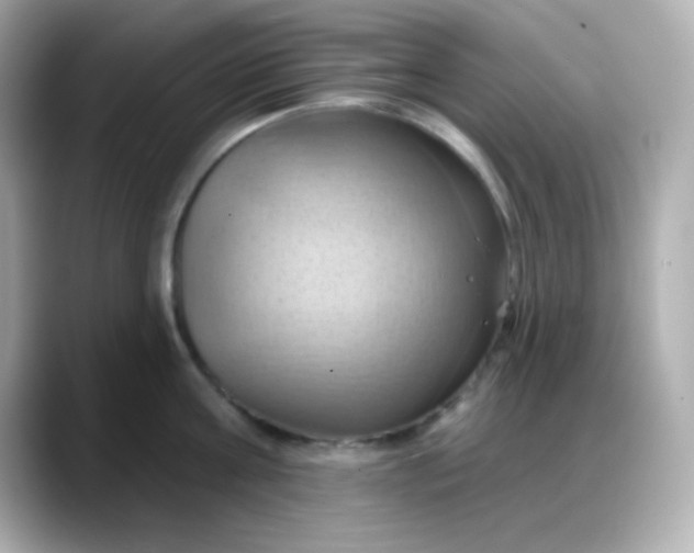 X0000088380811200706051058