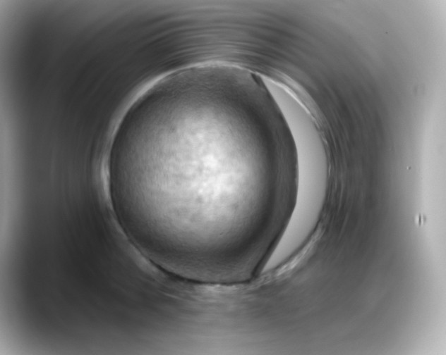 X0000088380812200706051058
