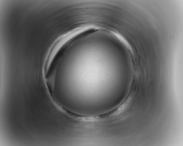 X0000088380813200706051058