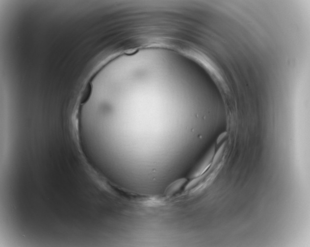 X0000088380814200706051058