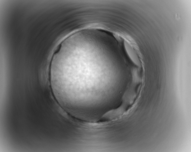 X0000088380816200706051058