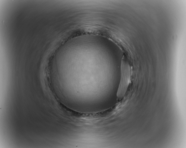 X0000088380817200706051058