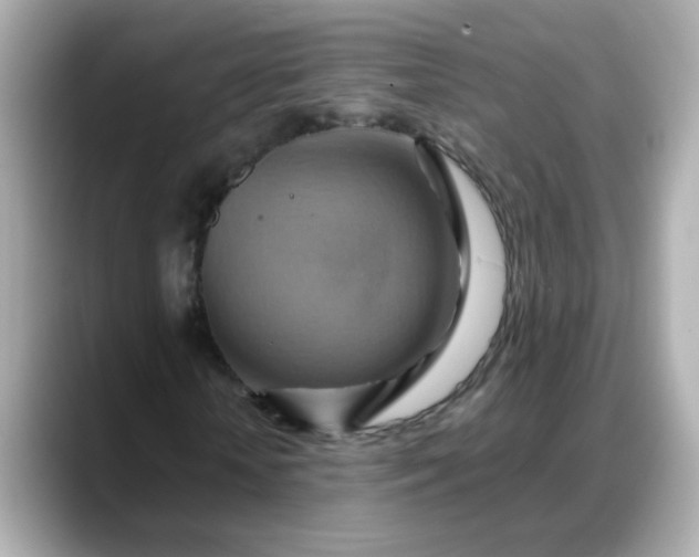 X0000088380818200706051058