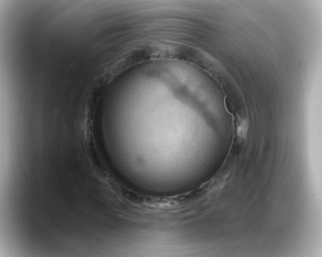 X0000088380819200706051058