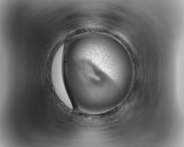 X0000088380823200706051058
