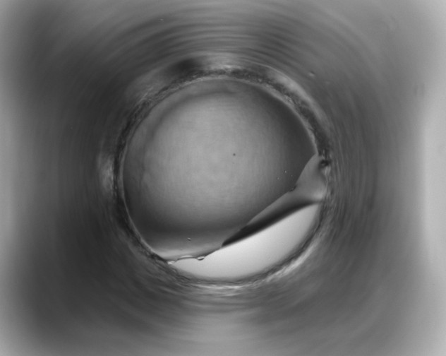 X0000088380825200706051058