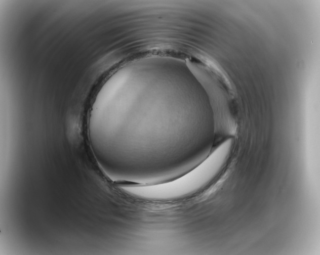 X0000088380826200706051058