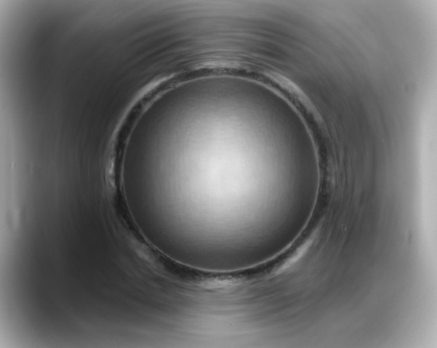 X0000088380830200706051058