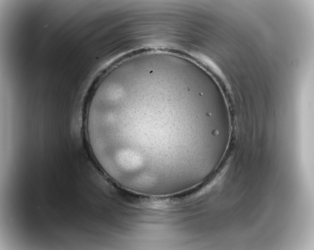 X0000088380831200706051058
