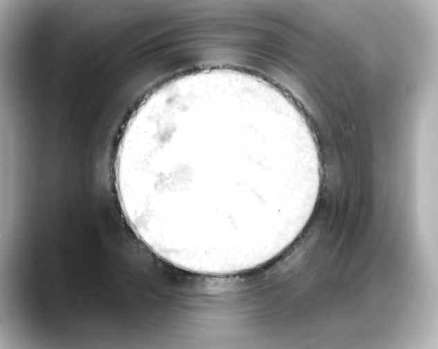 X0000088380832200706051058