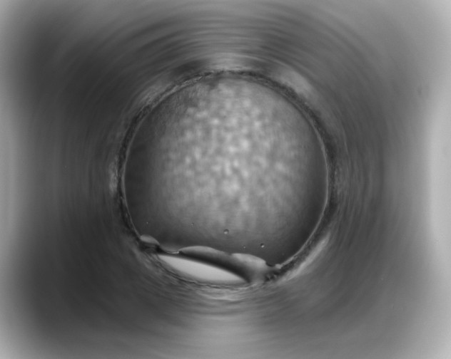 X0000088380833200706051058