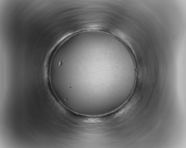 X0000088380835200706051058