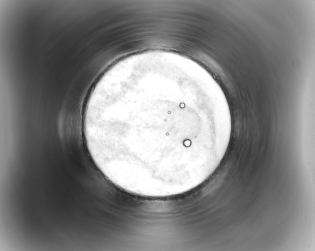X0000088380836200706051058
