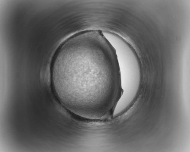 X0000088380838200706051058