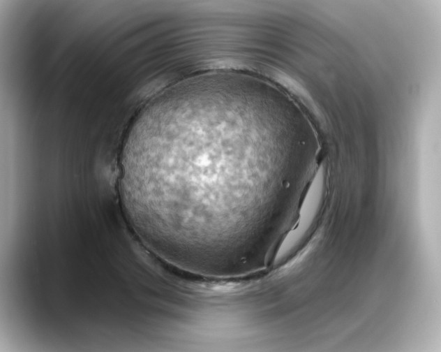 X0000088380841200706051058