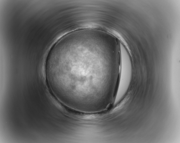 X0000088380843200706051058