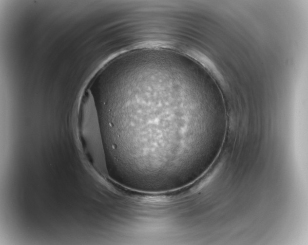 X0000088380844200706051058
