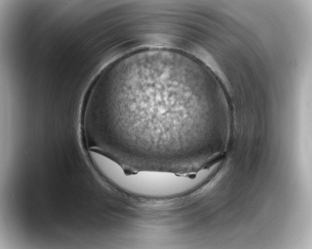 X0000088380845200706051058
