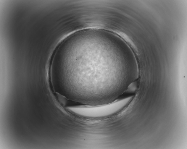 X0000088380846200706051058
