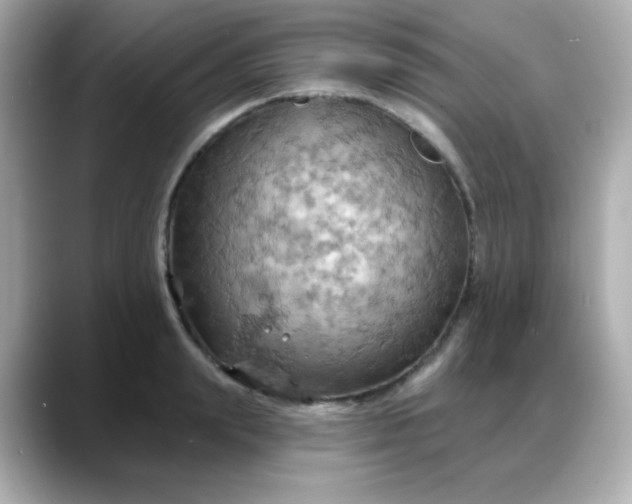 X0000088380847200706051058