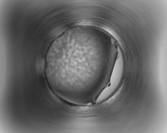 X0000088380849200706051058