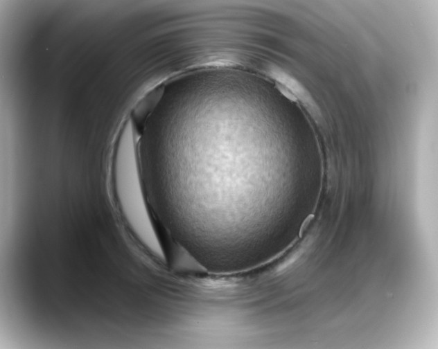 X0000088380850200706051058