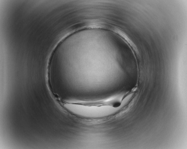 X0000088380853200706051058