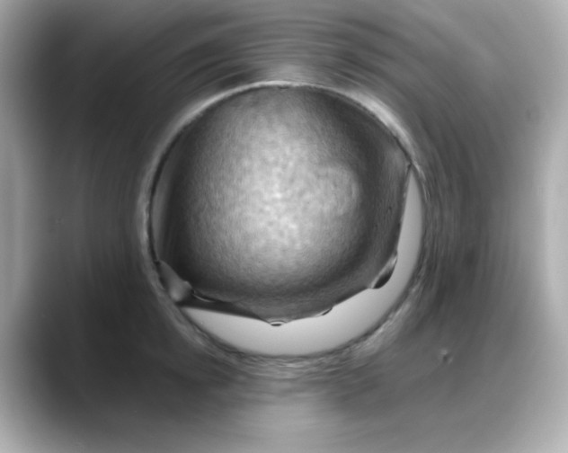 X0000088380854200706051058