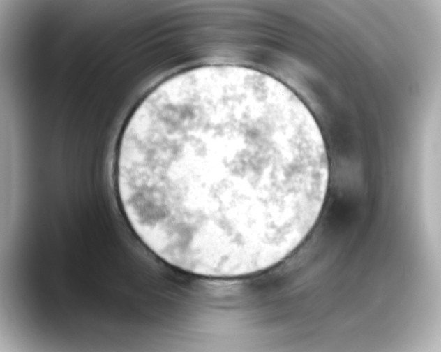 X0000088380856200706051058