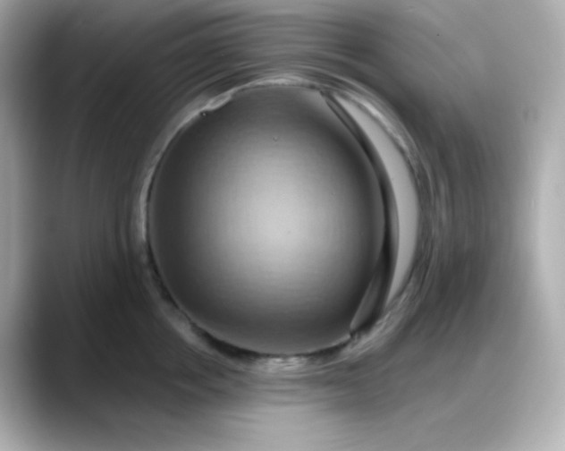 X0000088380858200706051058